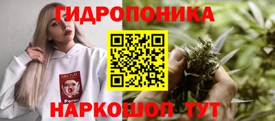 бошки Ачхой-Мартан